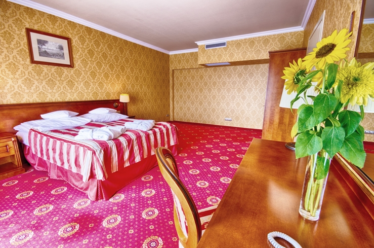 Delfin Spa & Wellness - Das ist ein gutes Hotel in Neuwasser (Dabki)