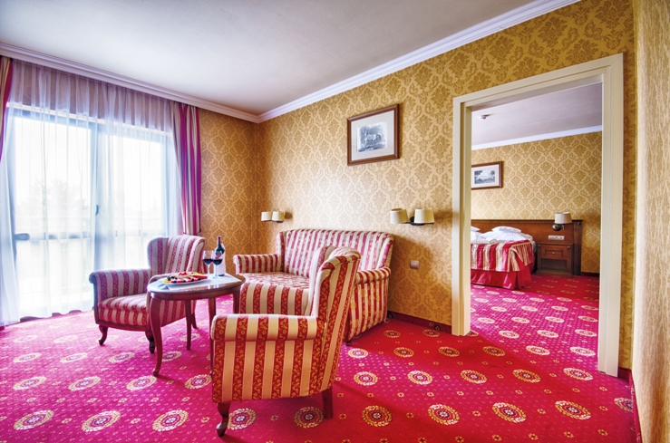 Delfin Spa & Wellness - Das ist ein gutes Hotel in Neuwasser (Dabki)